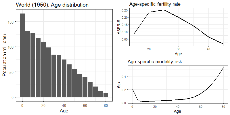 Fig.8 Age distribution, 5-year age-specific fertility rates, and 5-year mortality risks for the world population, 1950.